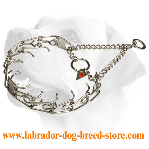 Stainless steel dog pinch prong collar - 50045 (55) 1/6 inch (3.99 mm)