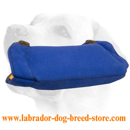 New French Linen Bide Builder for Puppies and Young Labradors - Click Image to Close