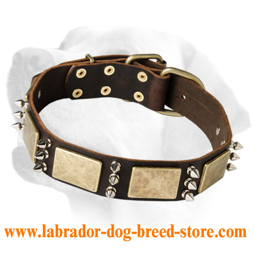 Armored Dog Leather Collar With Stylish Flamboyant Decoration