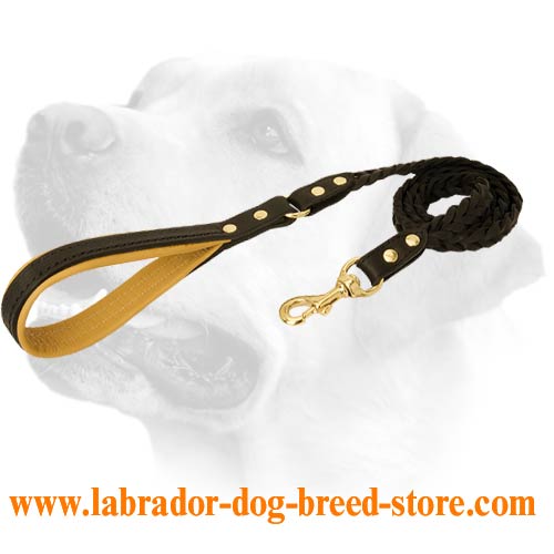 Braided Leather Lead For Handling Large Labradors