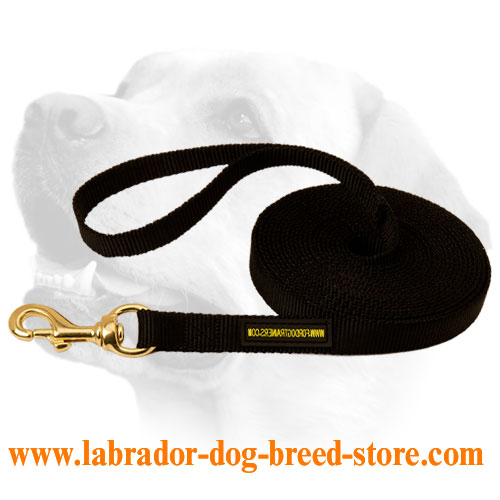 Labrador Multi Weather Nylon Lead For Tracking