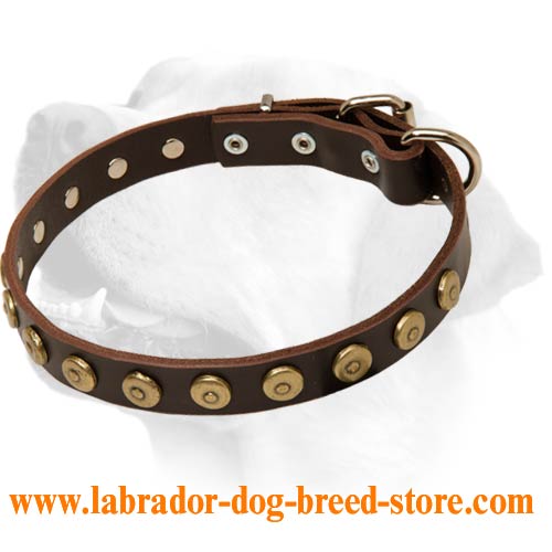 Slim Super Nice Leather Collar for Labrador