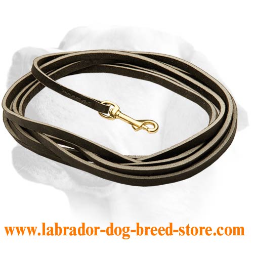 Slim Leather Tracking Lead For Labrador - Click Image to Close