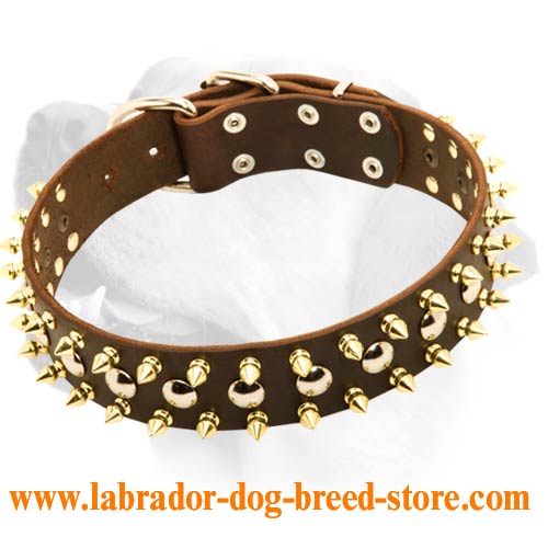 Sun Shining Dog Leather Collar For Labrador. Original Sparkling Brass Decoration. - Click Image to Close