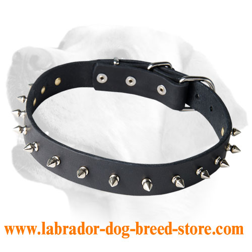 Labrador Elegant Leather Collar With Sparkling Spikes