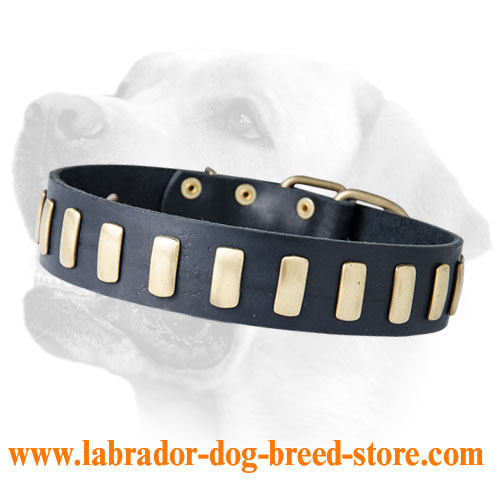 Exclusively designed Labrador leather collar