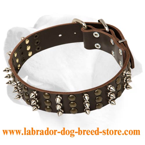 Absolutely Chick Leather Dog Collar For Labrador