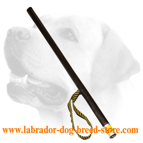 Agitation stick for Better Training