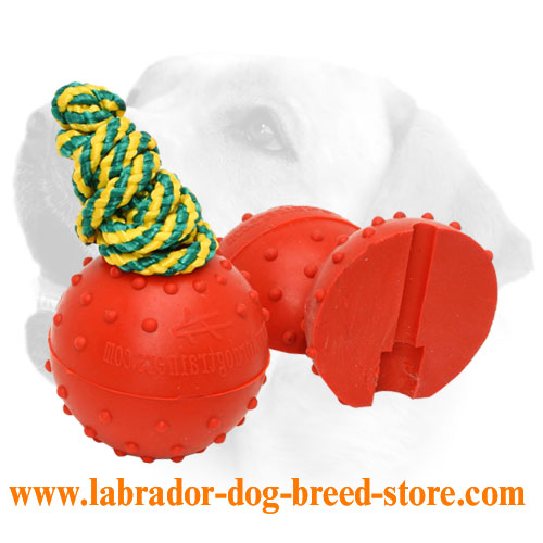Natural Rubber Labrador Training Water Ball - 2 1/3 inch (6 cm)