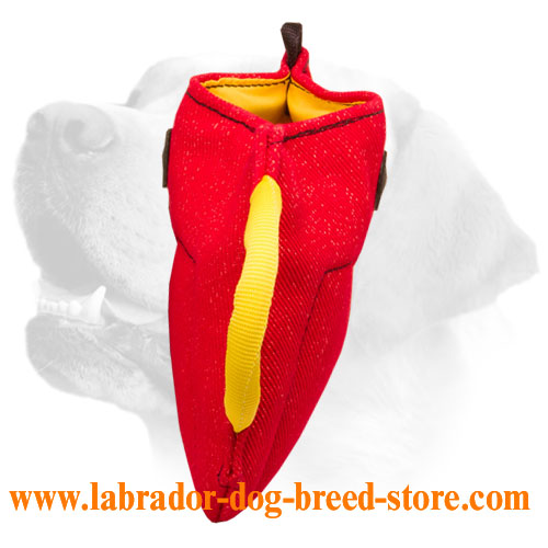 New Puppy and Young Labrador Bite Builder of French Linen