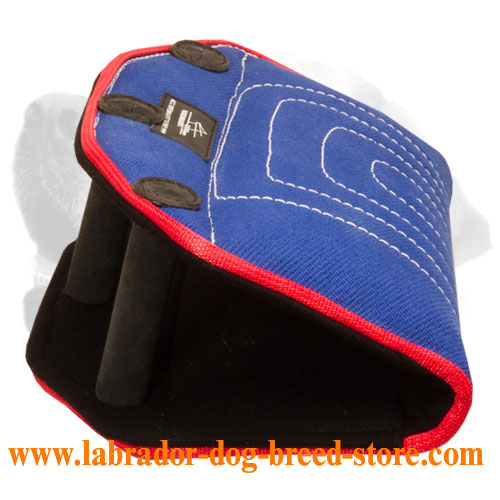 Labrador Bite Builder for Puppies and Young Dogs