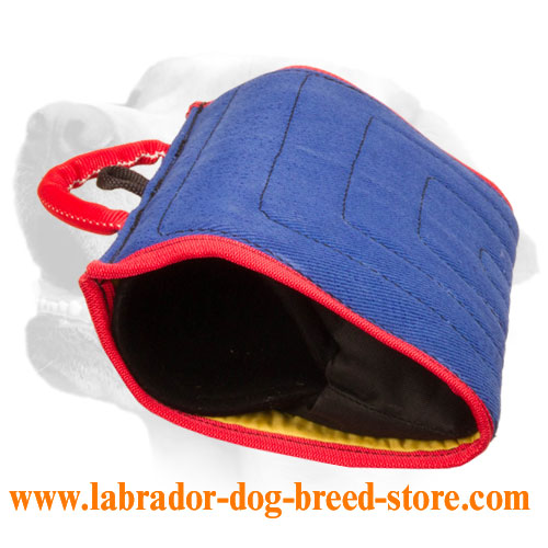 New professional bite developer for young and adult Labradors - Click Image to Close