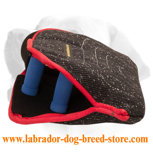 Labrador French Linen Bite Builder for Puppies and Young Dogs