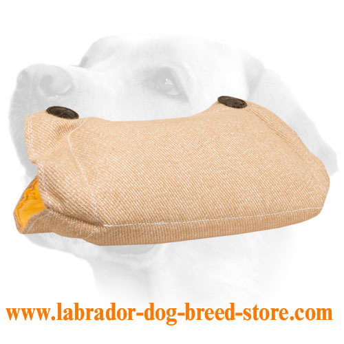 Puppy and Young Dog Bite Builder made of Jute - Click Image to Close