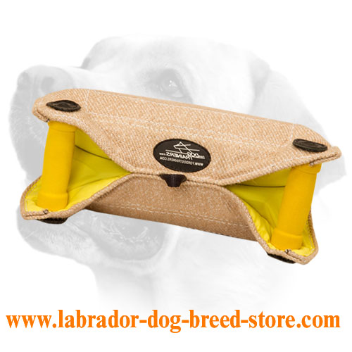Primary Labrador Puppy Bite Builder made of natural jute