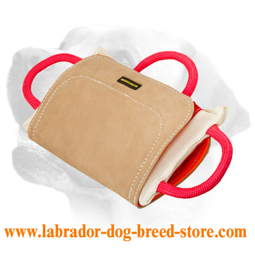 Professional Bite Pillow with Leather Cover for Labradors