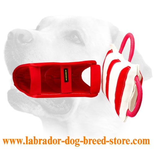 Labrador Training Pillow with Jute Cover