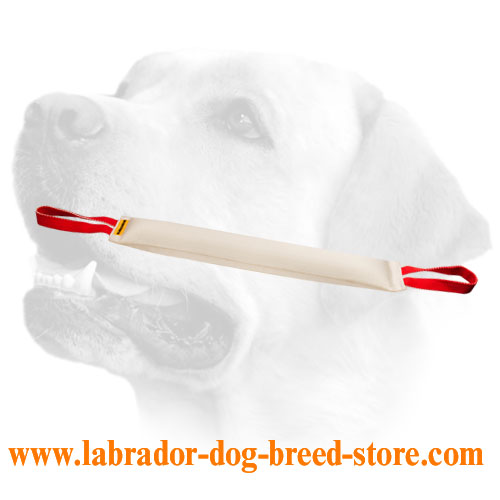 Huge Fire Hose Bite Tug with 2 Handles