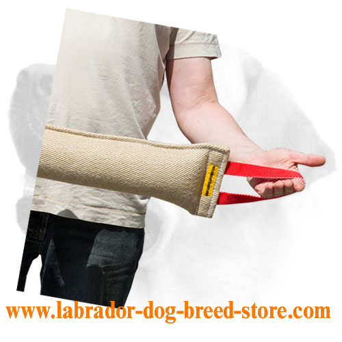 Huge Bite Tag for Labrador Training