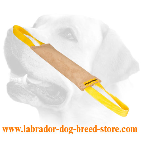 Strong Leather Training Bite Tug with 2 Handles