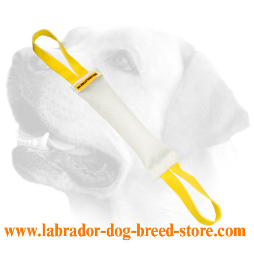 Extra durable Labrador bite tug of fire hose
