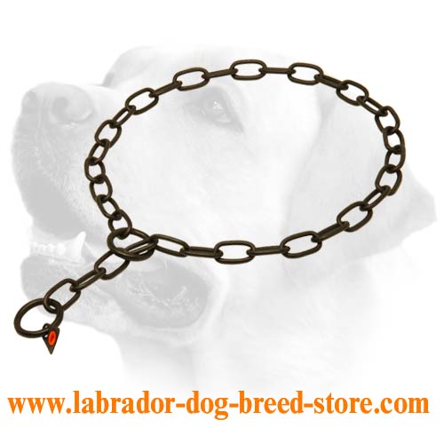 Labrador Stunning Black Stainless Steel Fur Saver 1/8 inch (3 mm)
