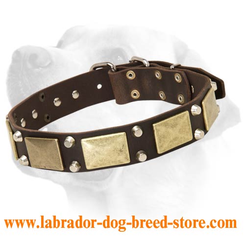 Handcrafted leather Labrador dog collar