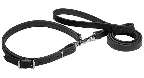 BLD's Quick Release Collar™ - Leather dog collar with metal buckle - Bold  Lead Designs