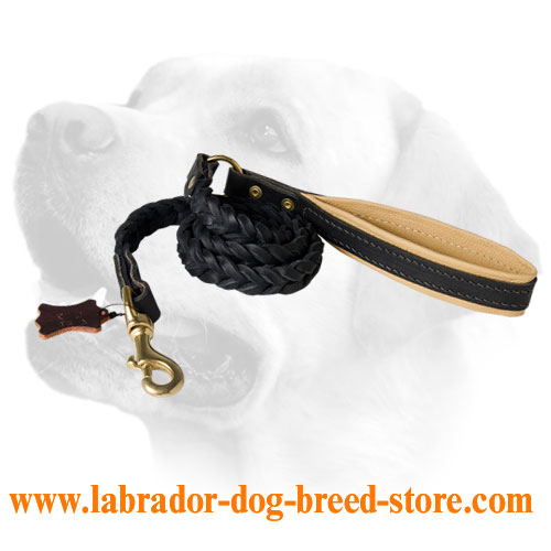 Lovely Plaited Leather Lead For Labrador