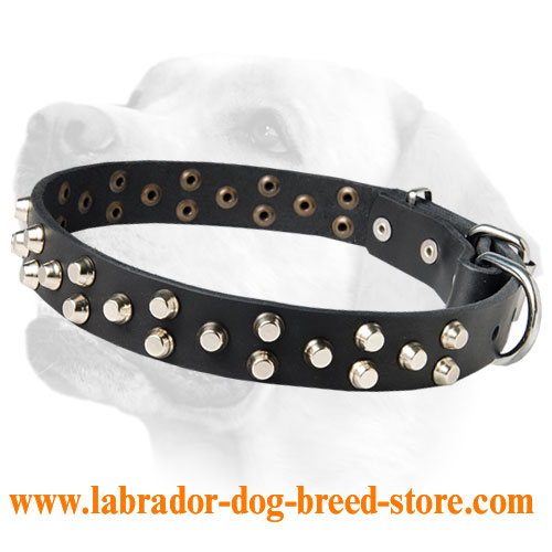 Charming Everyday Leather Collar For Labrador With Elegant Decoration