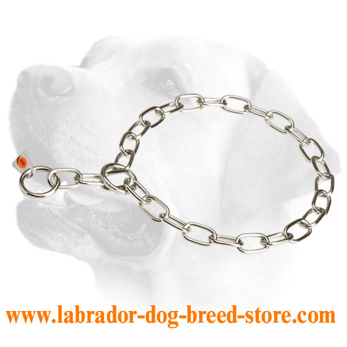 Labrador fur saver collar of stainless steel with 1/9 inch (3 mm) link diameter