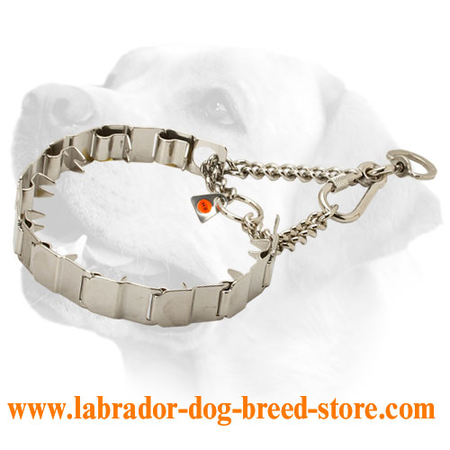 Best Neck Tech Labrador Pinch Prong Collar of Stainless Steel - 19 inch (48 cm) in length