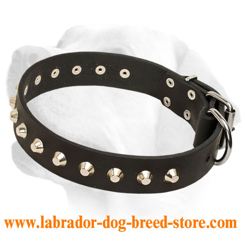Gorgeous Leather Dog Collar with Nickel-Plated Pyramids