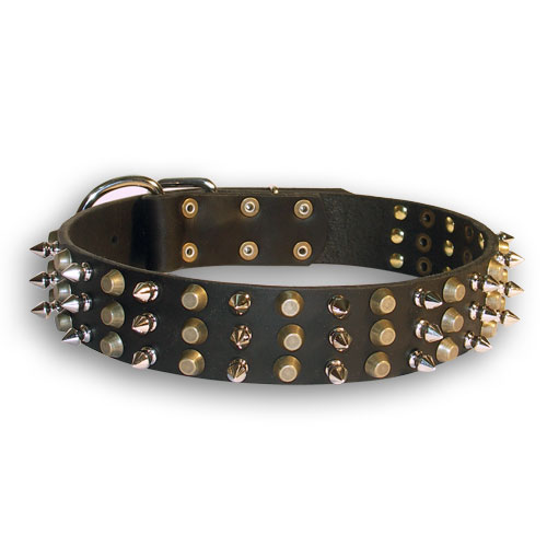 Leather Labrador Collar with Nickel Spikes and Brass Pyramids - Click Image to Close