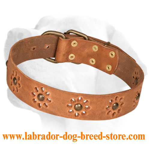 'Spring mood' Leather Walking Dog Collar