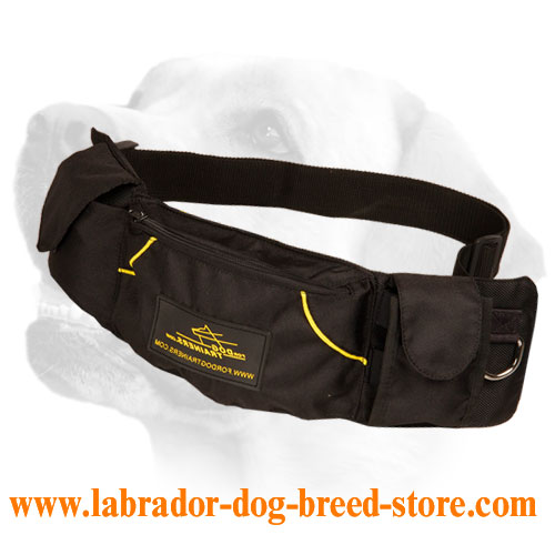dog collar pouch