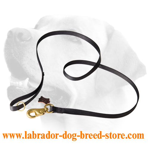 Extreme walking Labrador leash with Strong brass snap hook