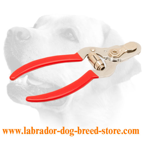 Dog Nail Trimmer with Vinyl Handles and Stop