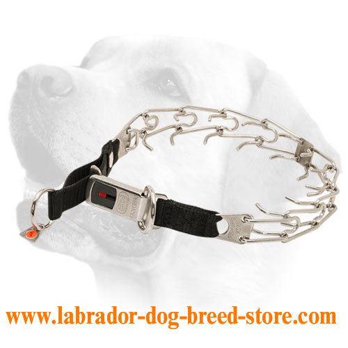 Stainless Steel Pinch Labrador Prong Collar with Click Lock Buckle and Nylon Loop 1/8 inch (3.2 mm)