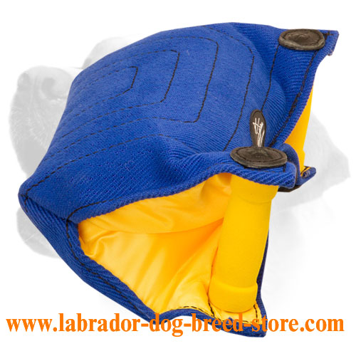 New Puppy and Young Labrador Bite Builder