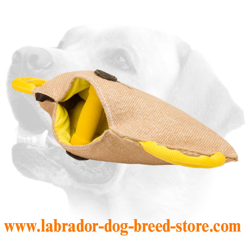 Jute Bite Builder for Young Labradors Training