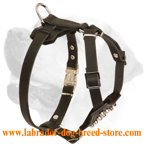 Stylish Studded Leather Harness For Labrador Puppy