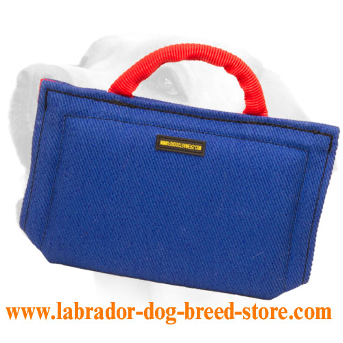 First Labrador puppy sleeve of soft French linen