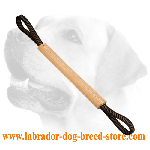 Leather Bite Tug for Labrador Training