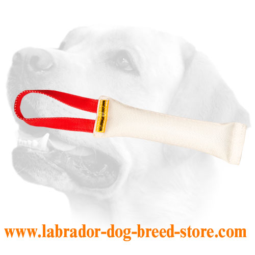 Labrador puppy fire hose tug with handle