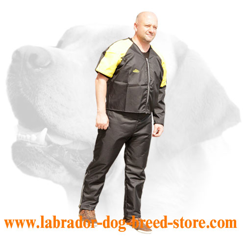 Revolution design scratch suit for Labrador training