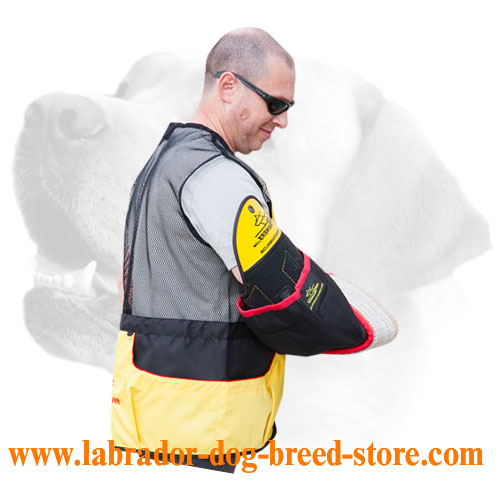 Intermediate Labrador bite sleeve