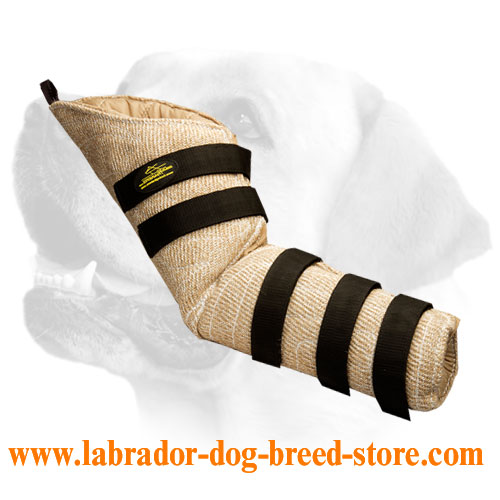 Natural Jute Professional Sleeve for Labrador training
