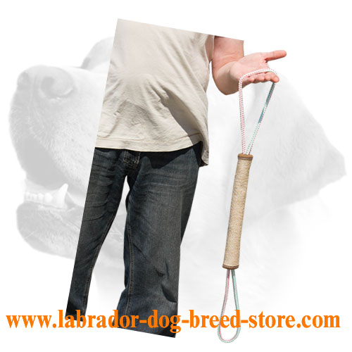 Training Play Roll for Labrador puppy