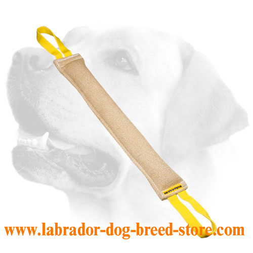 Jute Bite Tug for Young Labrador Training